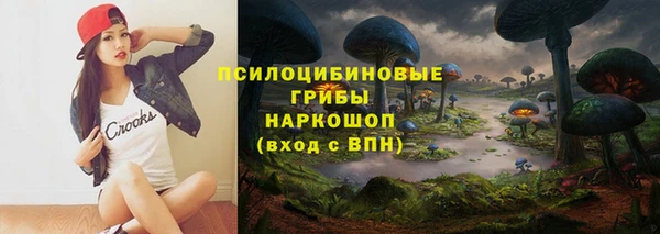 PSILOCYBIN Абаза